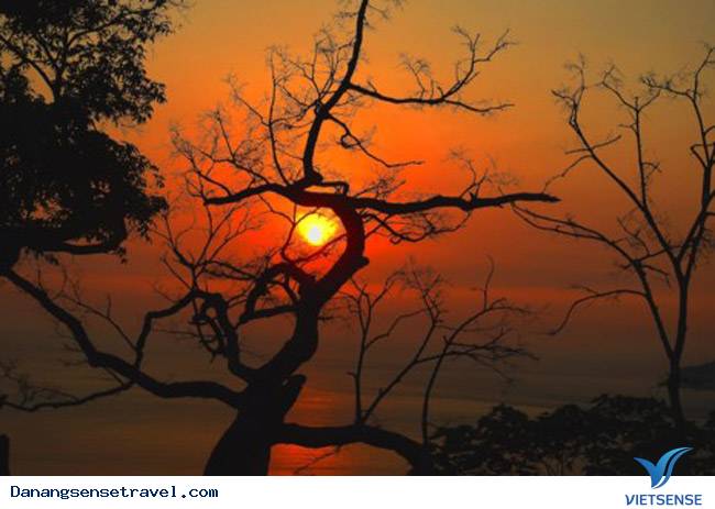 Bán đảo Sơn Trà viên ngọc quý của Đà Nẵng - Ảnh 9 Bán đảo Sơn Trà viên ngọc quý của Đà Nẵng - Ảnh 9