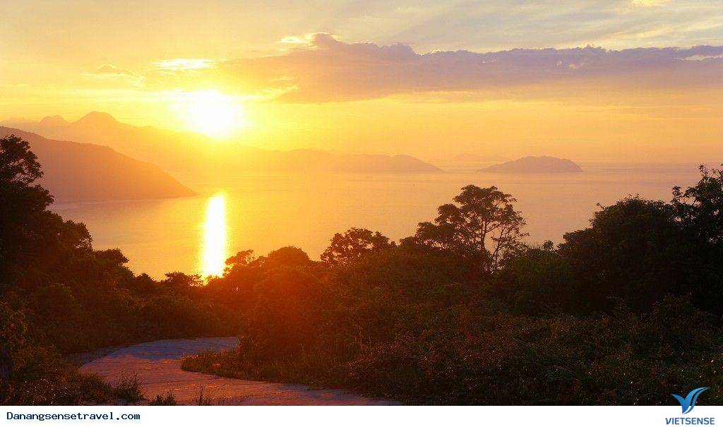 Bán đảo Sơn Trà viên ngọc quý của Đà Nẵng - Ảnh 8 Bán đảo Sơn Trà viên ngọc quý của Đà Nẵng - Ảnh 8