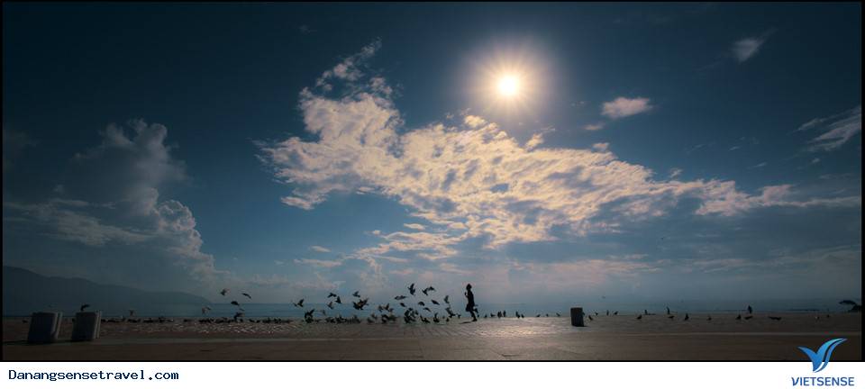 Các nhà làm phim Nhật Bản đến Đà Nẵng - Ảnh 2 Các nhà làm phim Nhật Bản đến Đà Nẵng - Ảnh 2