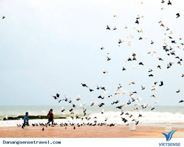 Cẩm nang hành trình Đà Nẵng từ a đến z - Ảnh 11