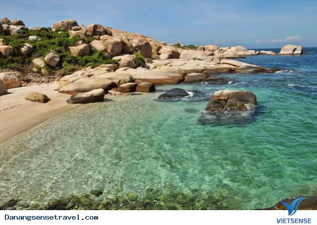 Cẩm nang hành trình Đà Nẵng từ a đến z - Ảnh 8