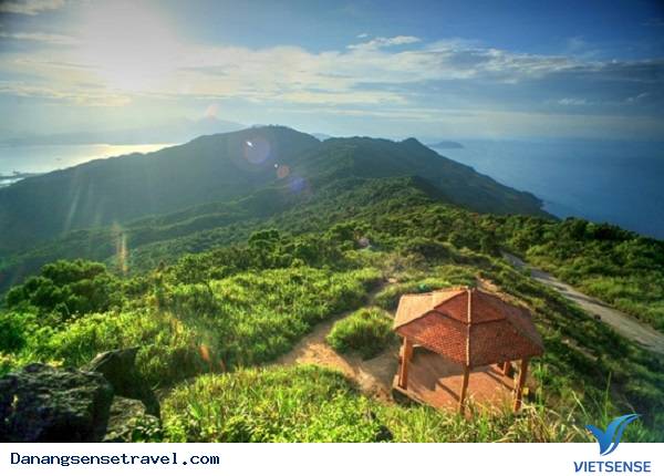 Cẩm nang hành trình Đà Nẵng từ a đến z - Ảnh 3