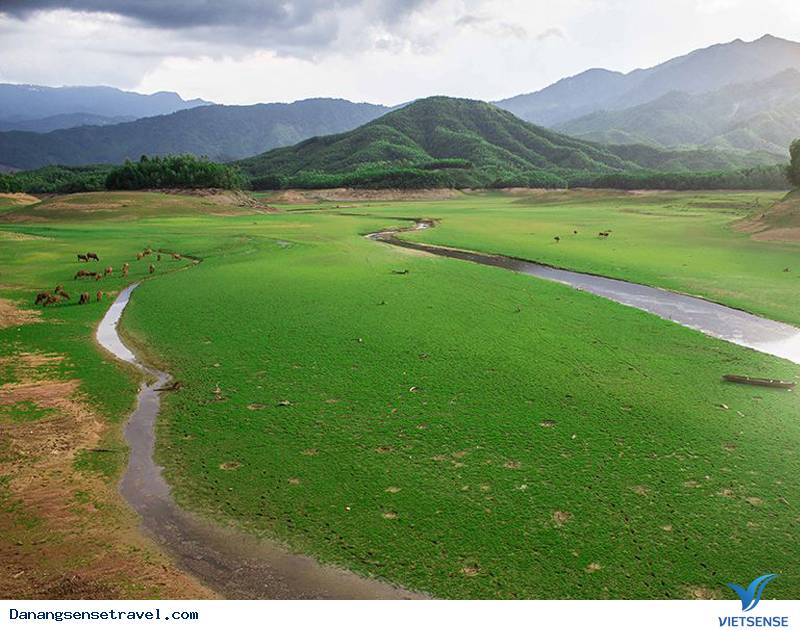 Chiêm ngưỡng vẻ đẹp với thảo nguyên Mông Cổ tại Đà Nẵng - Ảnh 3 Chiêm ngưỡng vẻ đẹp với thảo nguyên Mông Cổ tại Đà Nẵng - Ảnh 3