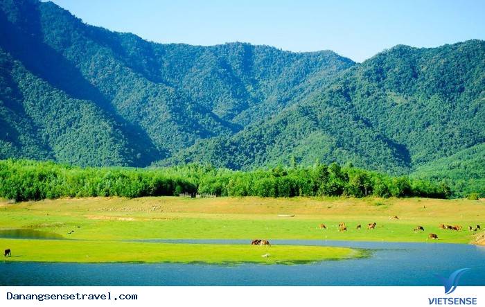 Chiêm ngưỡng vẻ đẹp với thảo nguyên Mông Cổ tại Đà Nẵng - Ảnh 6 Chiêm ngưỡng vẻ đẹp với thảo nguyên Mông Cổ tại Đà Nẵng - Ảnh 6