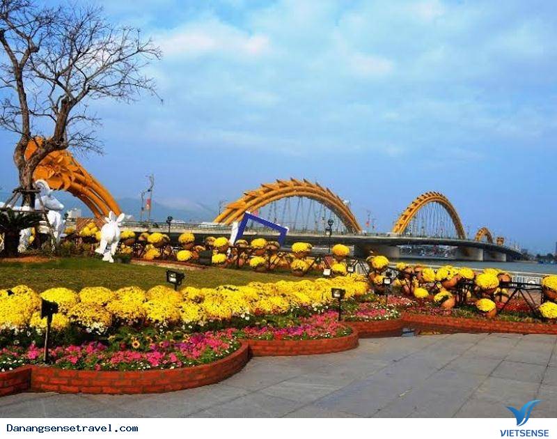 Con đường đi bộ đẹp nhất chỉ có ở Bạch Đằng Đà Nẵng - Ảnh 5 Con đường đi bộ đẹp nhất chỉ có ở Bạch Đằng Đà Nẵng - Ảnh 5
