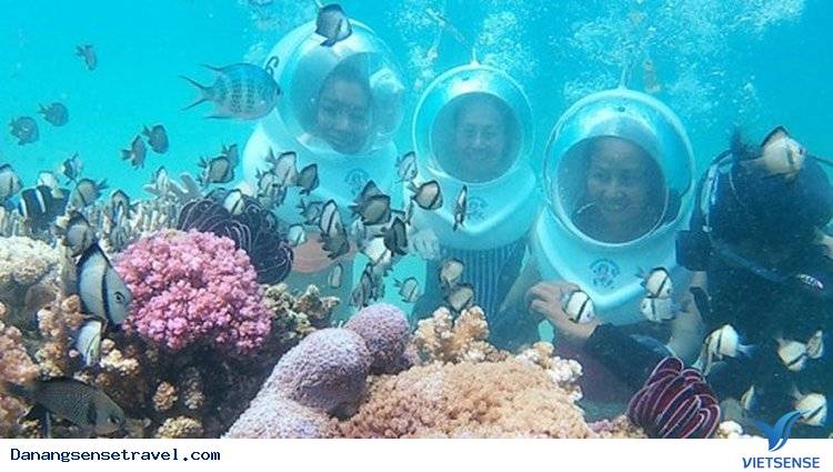 Trải nghiệm tuyệt vời của chương trình lặn biển - Ảnh 1 Trải nghiệm tuyệt vời của chương trình lặn biển - Ảnh 1