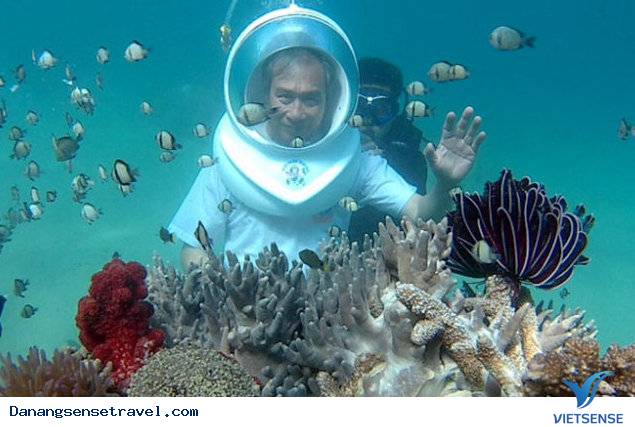 Trải nghiệm tuyệt vời của chương trình lặn biển - Ảnh 2 Trải nghiệm tuyệt vời của chương trình lặn biển - Ảnh 2