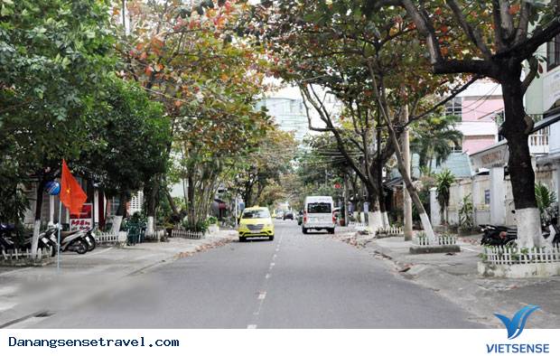 Con đường nơi bình yên tìm về - Ảnh 1 Con đường nơi bình yên tìm về - Ảnh 1