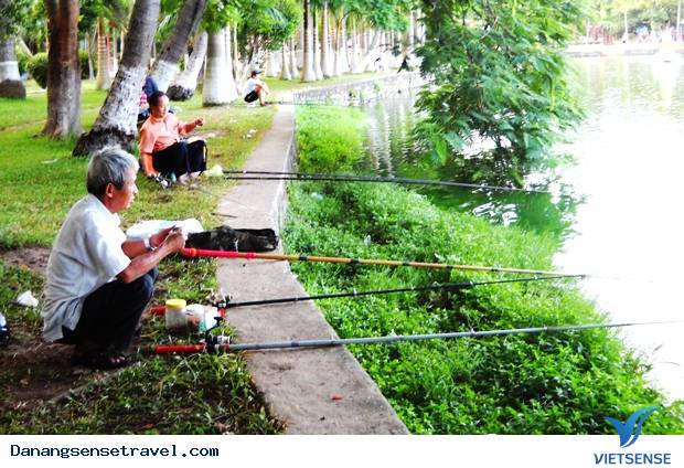 Công Viên 29 tháng 3 lá phổi xanh của Đà Nẵng - Ảnh 4 Công Viên 29 tháng 3 lá phổi xanh của Đà Nẵng - Ảnh 4