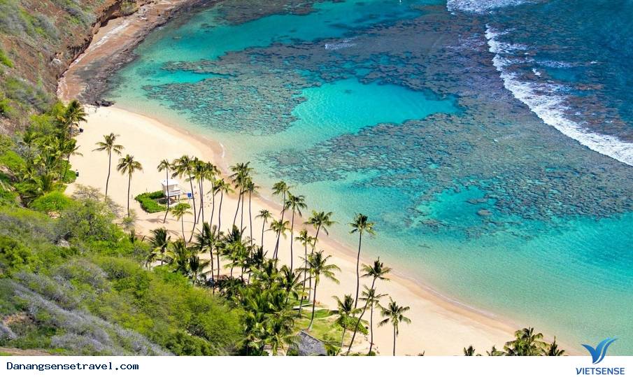 Cù Lao Chàm Viên ngọc xanh của Quảng Nam - Ảnh 4 Cù Lao Chàm Viên ngọc xanh của Quảng Nam - Ảnh 4