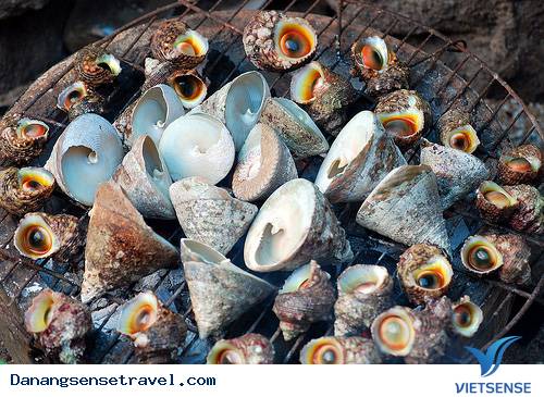 Cù Lao Chàm Cù Lao Chàm