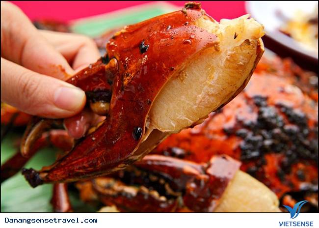 Cua đá Cù lao Chàm Đà Nẵng - Ảnh 2 Cua đá Cù lao Chàm Đà Nẵng - Ảnh 2