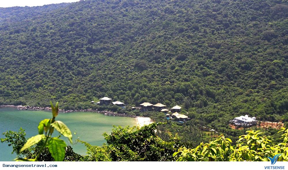 Đà Nẵng đề xuất cắt giảm quy mô dự án hành trình ở Sơn Trà - Ảnh 2 Đà Nẵng đề xuất cắt giảm quy mô dự án hành trình ở Sơn Trà - Ảnh 2