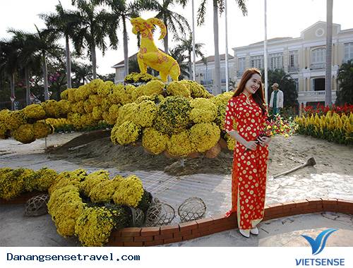 Đà Nẵng Khai Mạc Đường Hoa Xuân đón Tết - Ảnh 3 Đà Nẵng Khai Mạc Đường Hoa Xuân đón Tết - Ảnh 3