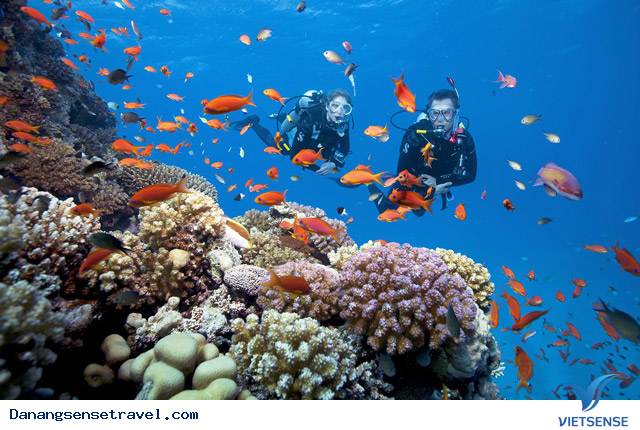 Đà Nẵng không ngừng phát huy lợi thế hành trình biển - Ảnh 4 Đà Nẵng không ngừng phát huy lợi thế hành trình biển - Ảnh 4