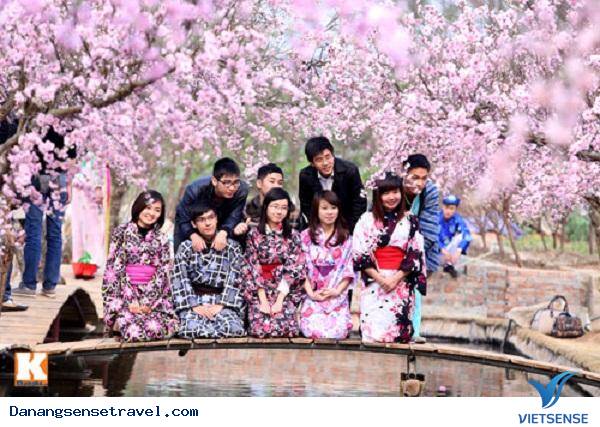 Đà Nẵng lần đầu tiên tổ chức Lễ hội Hanami - Ảnh 6