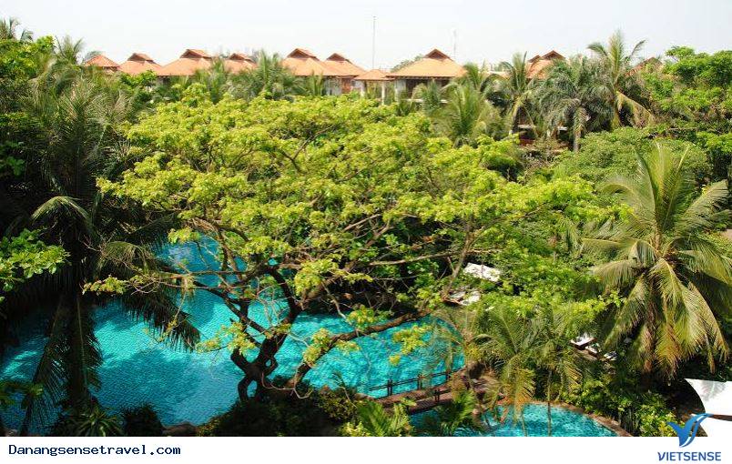 Đà Nẵng nhận Bằng khen vì môi trường xanh quốc gia - Ảnh 1 Đà Nẵng nhận Bằng khen vì môi trường xanh quốc gia - Ảnh 1