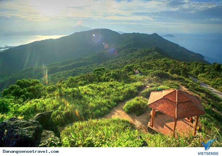 Đà Nẵng quảng bá hành trình Sơn Trà và Thành Phố biển - Ảnh 1 Đà Nẵng quảng bá hành trình Sơn Trà và Thành Phố biển - Ảnh 1