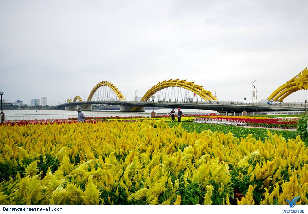 Đà Nẵng tô sắc xuân đón Tết - Ảnh 6 Đà Nẵng tô sắc xuân đón Tết - Ảnh 6