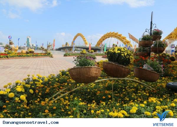 Đà Nẵng tô sắc xuân đón Tết - Ảnh 3 Đà Nẵng tô sắc xuân đón Tết - Ảnh 3