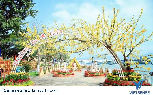 danang-trangtrivuonhoaphuc-tetnguyendan