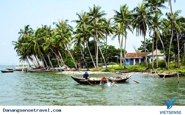 Đảo Dừa Tam Hải Hòn Ngọc thô của đảo Quảng Nam - Ảnh 5 Đảo Dừa Tam Hải Hòn Ngọc thô của đảo Quảng Nam - Ảnh 5