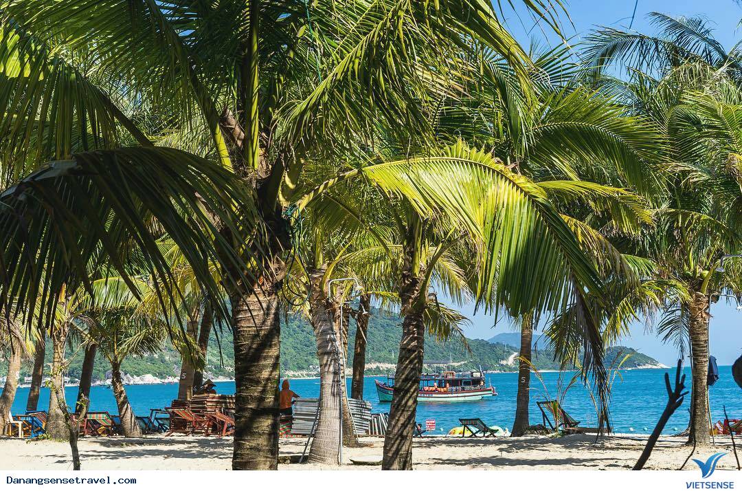 Đảo Dừa Tam Hải Hòn Ngọc thô của đảo Quảng Nam - Ảnh 8 Đảo Dừa Tam Hải Hòn Ngọc thô của đảo Quảng Nam - Ảnh 8