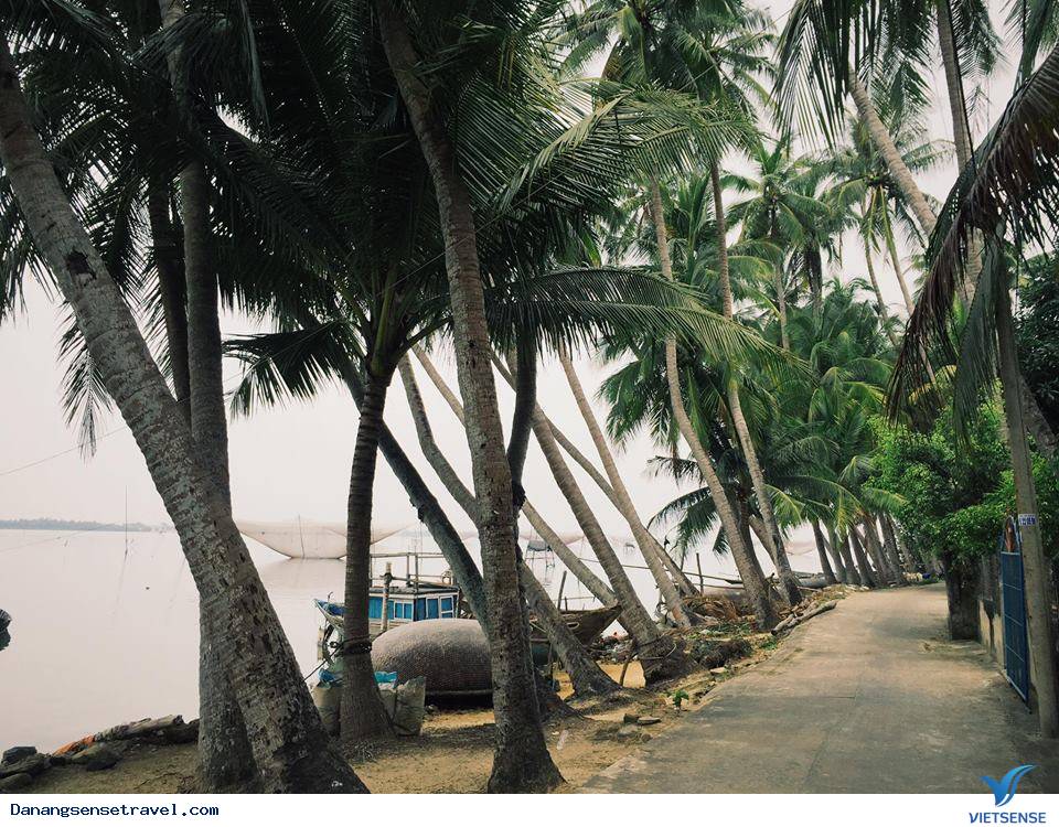 Đảo Dừa Tam Hải Hòn Ngọc thô của đảo Quảng Nam - Ảnh 6 Đảo Dừa Tam Hải Hòn Ngọc thô của đảo Quảng Nam - Ảnh 6