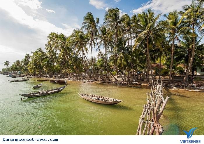 Đảo Dừa Tam Hải Hòn Ngọc thô của đảo Quảng Nam - Ảnh 1 Đảo Dừa Tam Hải Hòn Ngọc thô của đảo Quảng Nam - Ảnh 1