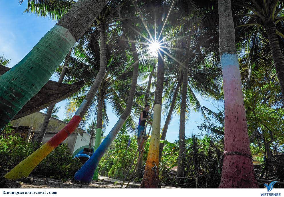 Đảo Dừa Tam Hải Hòn Ngọc thô của đảo Quảng Nam - Ảnh 3 Đảo Dừa Tam Hải Hòn Ngọc thô của đảo Quảng Nam - Ảnh 3