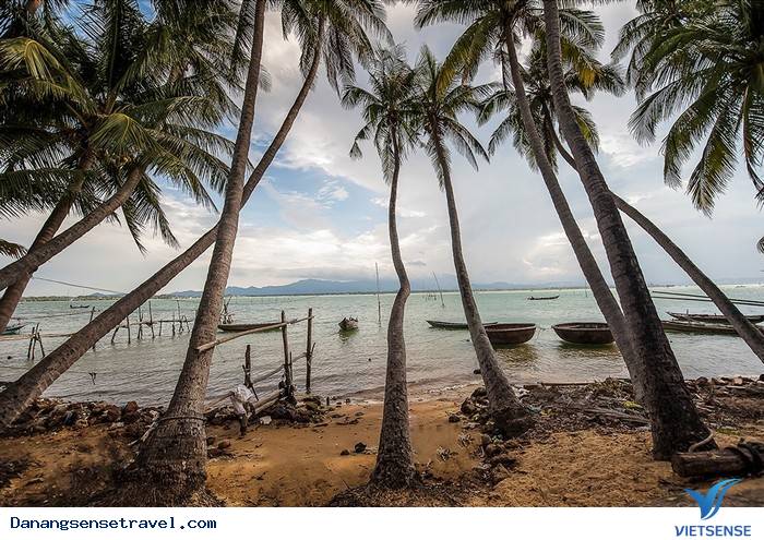 Đảo Dừa Tam Hải Hòn Ngọc thô của đảo Quảng Nam - Ảnh 2 Đảo Dừa Tam Hải Hòn Ngọc thô của đảo Quảng Nam - Ảnh 2