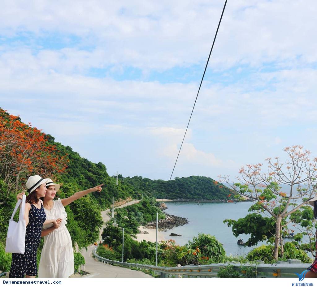 Đến Cù Lao Chàm sống ảo và chiêm ngưỡng hoa ngô đồng nhuộm đỏ đảo xanh - Ảnh 4