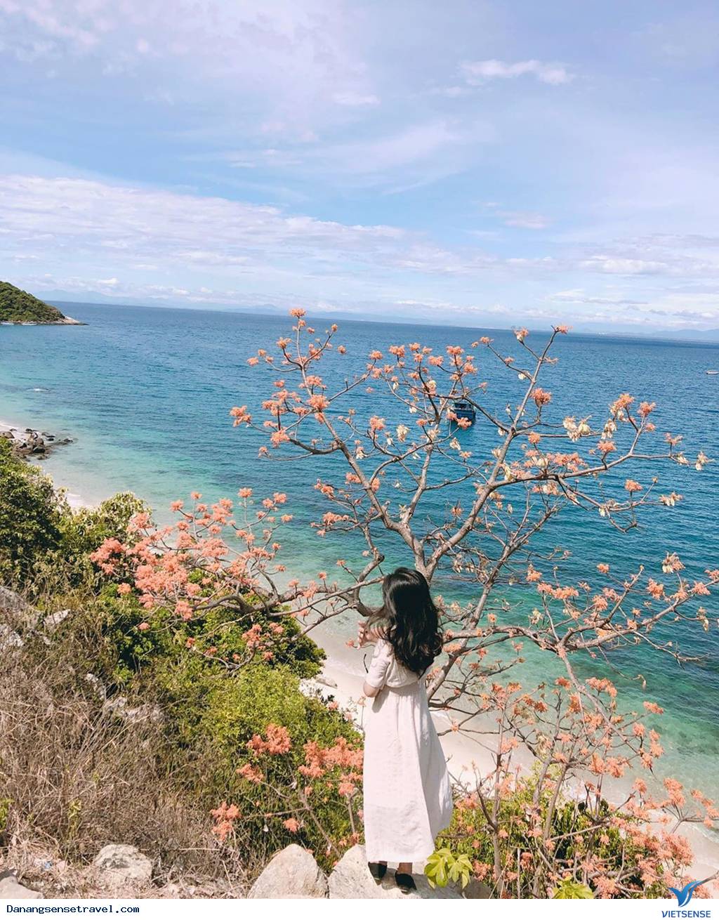 Đến Cù Lao Chàm sống ảo và chiêm ngưỡng hoa ngô đồng nhuộm đỏ đảo xanh - Ảnh 3