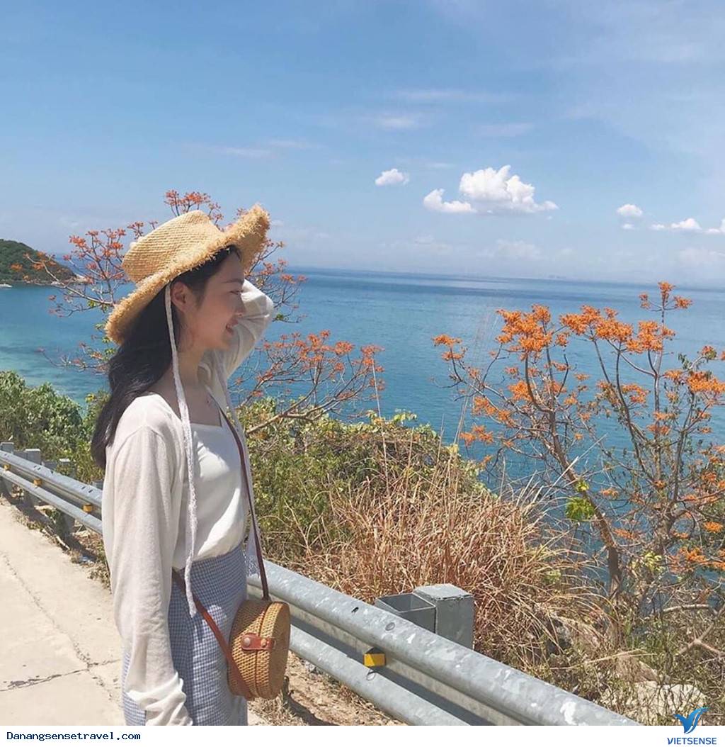 Đến Cù Lao Chàm sống ảo và chiêm ngưỡng hoa ngô đồng nhuộm đỏ đảo xanh - Ảnh 2