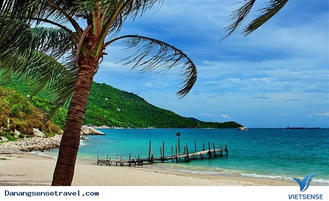 hành trình Cù Lao Chàm không quá 850 nghìn đồng - Ảnh 5