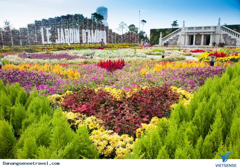 Hơn 100 loài hoa rực rỡ quanh năm Hơn 100 loài hoa rực rỡ quanh năm