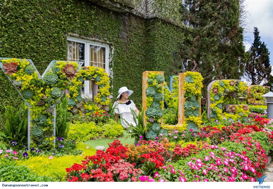 hành trình Đà Nẵng Bà Nà Hills- Thiên đường hoa thơ mộng - Ảnh 3 hành trình Đà Nẵng Bà Nà Hills- Thiên đường hoa thơ mộng - Ảnh 3