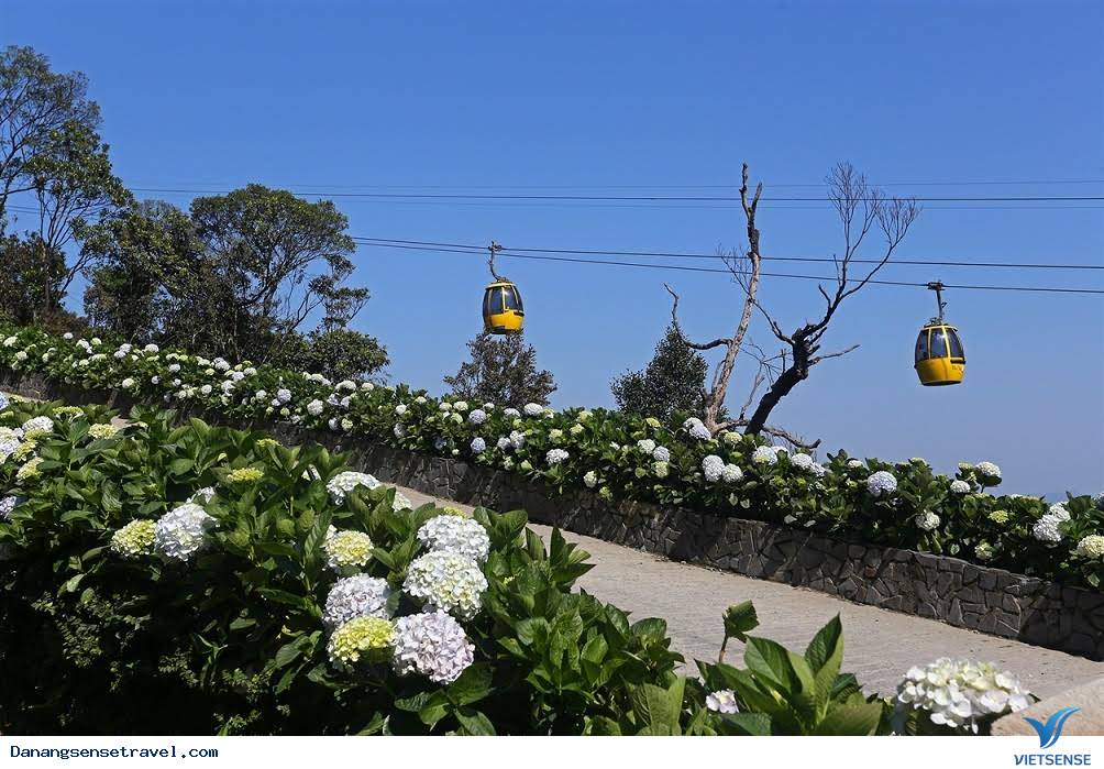 hành trình Đà Nẵng Bà Nà Hills- Thiên đường hoa thơ mộng - Ảnh 5 hành trình Đà Nẵng Bà Nà Hills- Thiên đường hoa thơ mộng - Ảnh 5