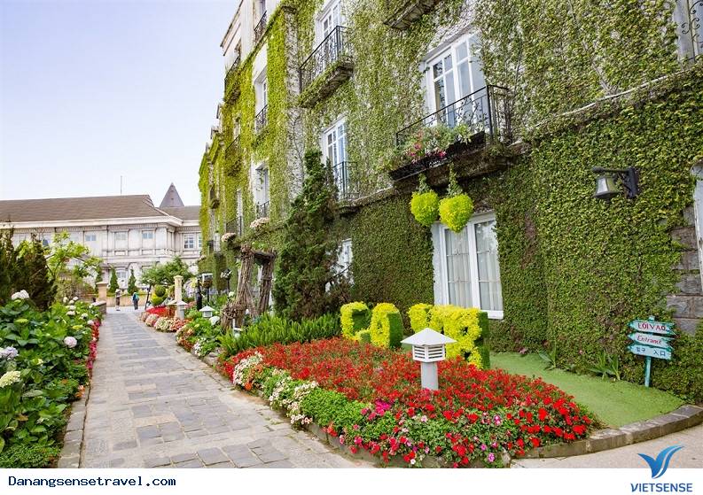 hành trình Đà Nẵng Bà Nà Hills- Thiên đường hoa thơ mộng - Ảnh 2 hành trình Đà Nẵng Bà Nà Hills- Thiên đường hoa thơ mộng - Ảnh 2