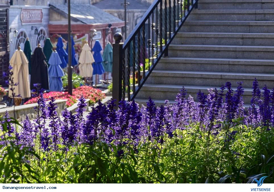 hành trình Đà Nẵng Bà Nà Hills- Thiên đường hoa thơ mộng - Ảnh 4 hành trình Đà Nẵng Bà Nà Hills- Thiên đường hoa thơ mộng - Ảnh 4