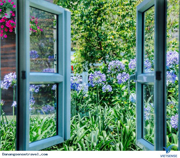 hành trình Đà Nẵng- Bà Nà ngắm những loài hoa đua nở - Ảnh 10 hành trình Đà Nẵng- Bà Nà ngắm những loài hoa đua nở - Ảnh 10