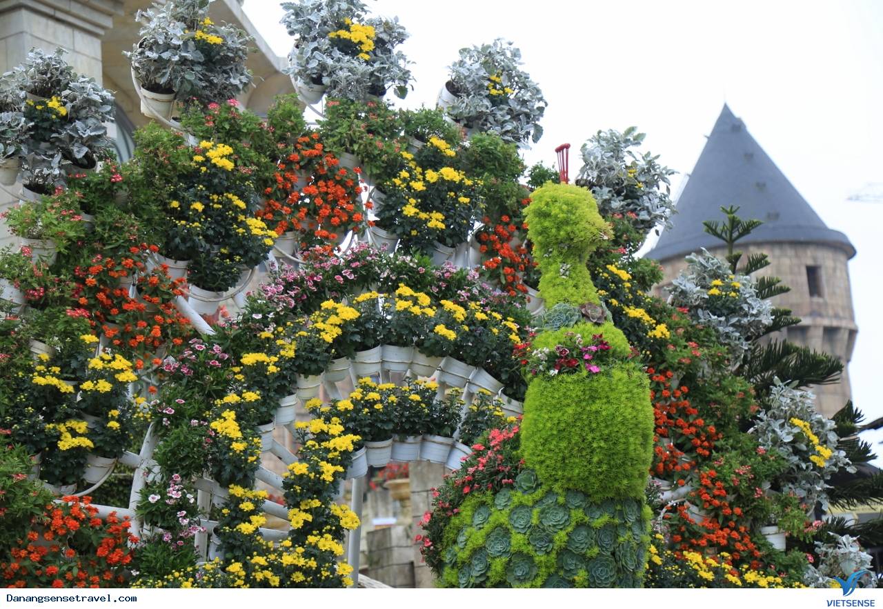 hành trình Đà Nẵng- Bà Nà ngắm những loài hoa đua nở - Ảnh 1 hành trình Đà Nẵng- Bà Nà ngắm những loài hoa đua nở - Ảnh 1