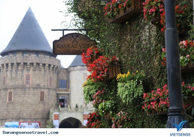 hành trình Đà Nẵng- Bà Nà ngắm những loài hoa đua nở - Ảnh 3 hành trình Đà Nẵng- Bà Nà ngắm những loài hoa đua nở - Ảnh 3