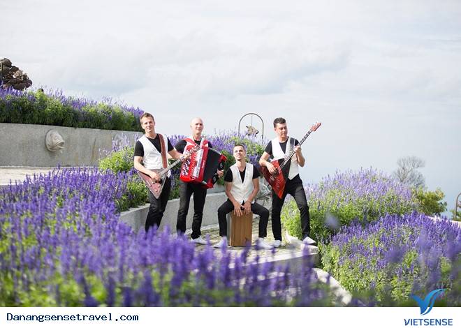 hành trình Đà Nẵng- Bà Nà ngắm những loài hoa đua nở - Ảnh 5 hành trình Đà Nẵng- Bà Nà ngắm những loài hoa đua nở - Ảnh 5