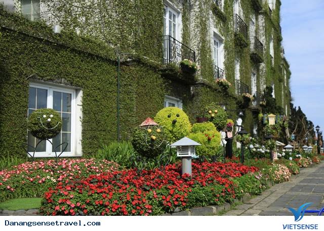 hành trình Đà Nẵng- Bà Nà ngắm những loài hoa đua nở - Ảnh 4 hành trình Đà Nẵng- Bà Nà ngắm những loài hoa đua nở - Ảnh 4