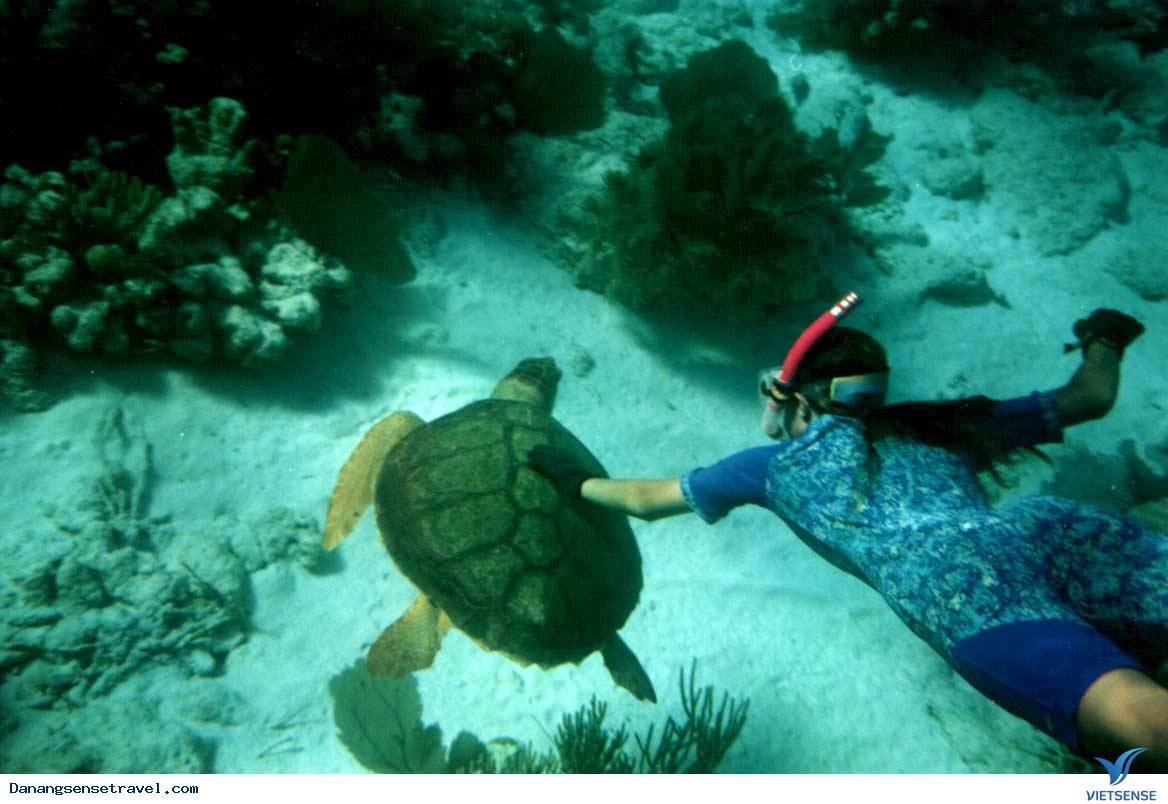 hành trình Đà Nẵng - Đảo Hòn Chảo - Ảnh 4 hành trình Đà Nẵng - Đảo Hòn Chảo - Ảnh 4