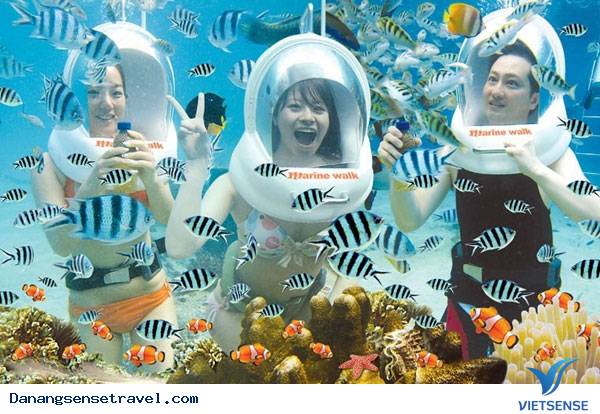 hành trình Đà Nẵng đi bộ dưới đáy biển Cù Lao Chàm - Ảnh 2 hành trình Đà Nẵng đi bộ dưới đáy biển Cù Lao Chàm - Ảnh 2