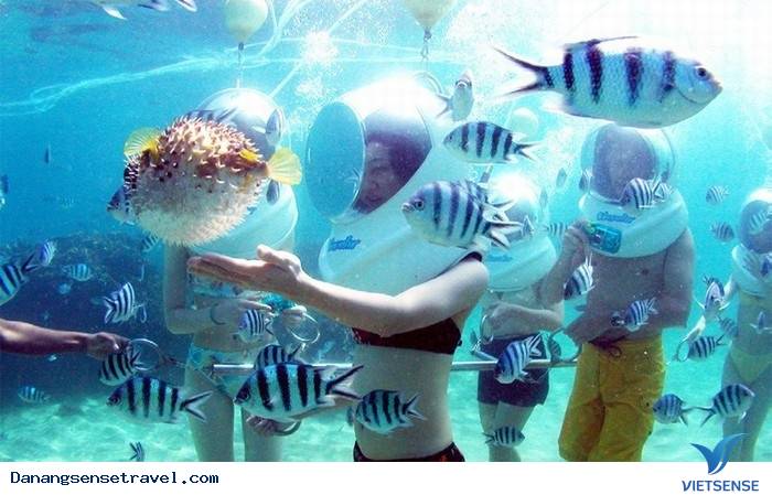 hành trình Đà Nẵng đi bộ dưới đáy biển Cù Lao Chàm - Ảnh 1 hành trình Đà Nẵng đi bộ dưới đáy biển Cù Lao Chàm - Ảnh 1