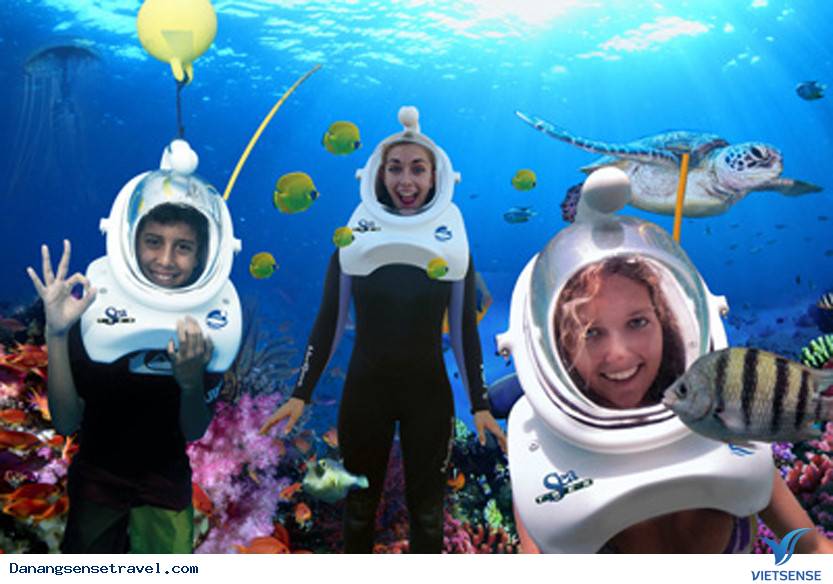 hành trình Đà Nẵng đi bộ dưới đáy biển Cù Lao Chàm - Ảnh 3 hành trình Đà Nẵng đi bộ dưới đáy biển Cù Lao Chàm - Ảnh 3