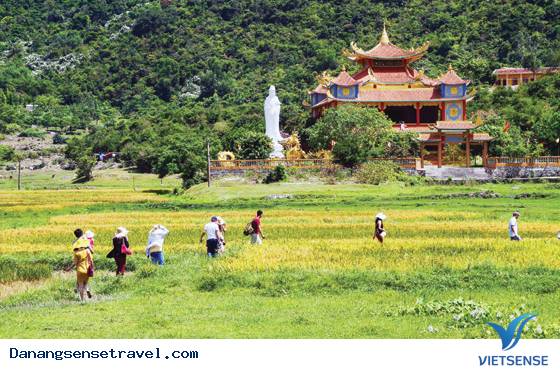 hành trình Đà Nẵng khám phá Cù Lao Chàm- chùa Hải Tạng - Ảnh 1 hành trình Đà Nẵng khám phá Cù Lao Chàm- chùa Hải Tạng - Ảnh 1